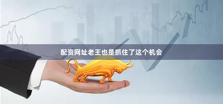 配资网址老王也是抓住了这个机会