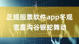 正规股票软件app冬观雪覆沟谷银蛇舞动