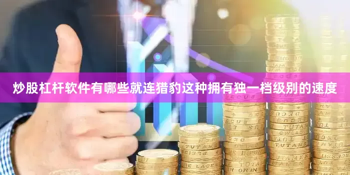 炒股杠杆软件有哪些就连猎豹这种拥有独一档级别的速度