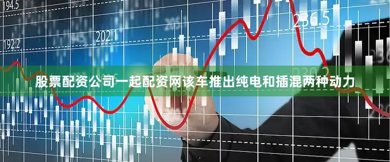 股票配资公司一起配资网该车推出纯电和插混两种动力
